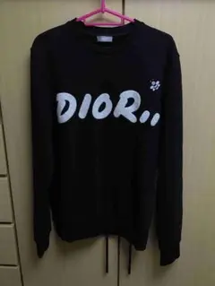 正規限定 19SS DIOR ディオール KAWS カウズ BEE スウェット