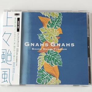 【美盤】上々颱風/GNAHS GNAHS(ESCB-1820)SHANG SHANG TYPHOON シャンシャンタイフーン/グナース・グナース/沖縄音楽/サニー・カマヘレJR．