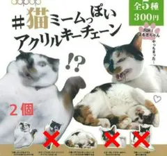 #猫ミームっぽいアクリルキーチェーン ２種３個セット 新品未使用 キーホルダー