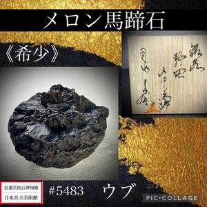 【信濃美術石博物館】 水石 盆栽 《希少》メロン馬蹄石 ウブ 横10×高6×奥行9(cm) 420g骨董盆石古美術鑑賞石観賞石太湖石中国古玩 5483