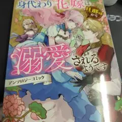 身代わり花嫁は旦那様から溺愛されるようです アンソロジーコミック