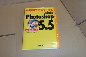 ★一週間でマスターする★ adobe Photo shop5.5★for macintosh ★ 吉岡ゆかり