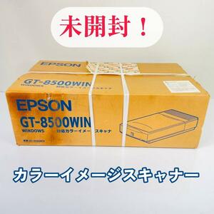【未開封】EPSON GT-8500WIN スキャナー