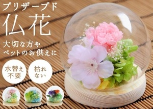 お供え プリザーブドフラワー ガラスドーム 通販 四季 春 供養 仏花 供え花 献花 ドームタイプ ドーム 飾り かわいい 仏壇用 お盆 進物