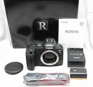 【超美品・付属品完備】Canon キヤノン EOS R6