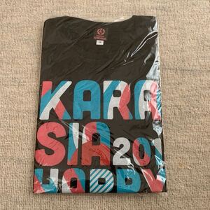 KARA 東京ドーム2013 ライブTシャツ　新品未使用