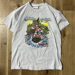 キッズサイズ　ビンテージ　スプラッシュマウンテン　Tシャツ　ディズニー