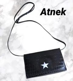 Atnek アトネック　クロコワンスター ショルダーバッグ　2WAY 牛革　星