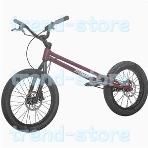 24インチ スタント用自転車 BMX 自転車 大人用 フロントおよびリアブレーキ付き Crmoフレームとフォーク パープル