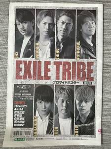 スポーツ報知 EXILE TRIBE プロマイドポスター　特別号　約41×27 新聞　TAKAHIRO AKIRA 登坂広臣　青柳翔　白濱亜嵐　黒木啓司　鈴木伸之