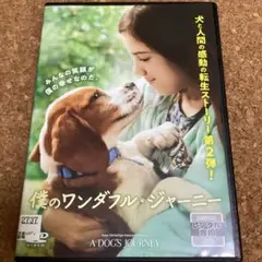 僕のワンダフルジャーニー