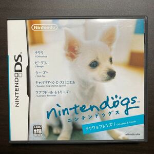 ニンテンドッグス nintendogs チワワ フレンズ 　Ｆ　DSソフト