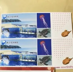 新江ノ島水族館　ご招待券 2枚