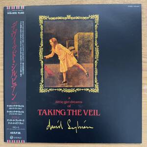 DAVID SYLVIAN Taking The Veil //国内盤 12 EP 帯付き// VIRGIN 14VA-9015//NLS122705