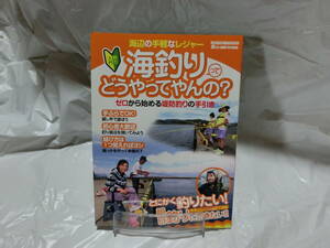 海釣りってどうやってやんの？　メディアボーイＭＯＯＫ　定価1,500　釣り　初心者