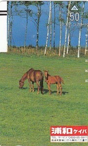 ●110-22921 浦和競馬テレカ