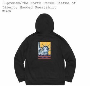 新品 国内正規品 SUPREME THE NORTH FACE STATUE OF LIBERTY HOODED SWEATSHIRT ノースフェイス 自由の女神 パーカー スウェット