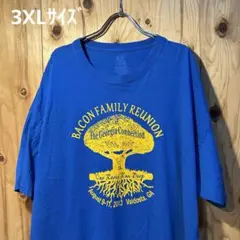 USA古着Tシャツ　3XLサイズ FRUIT OF THE LOOM ブルー