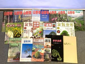 ☆4596☆盆栽 雑誌 18冊セット/まとめ売り/山野草とミニ盆栽/盆栽世界/赤松盆栽