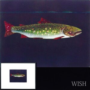 【WISH】サイン有「Fish」銅版画 水中の魚 #24113698