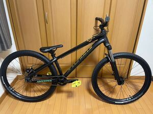 SPECIALIZED P.3 2019 ダートジャンプ