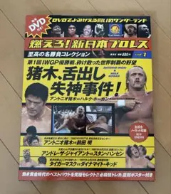 燃えろ！新日本プロレスvol.1