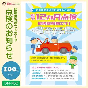 DM‐Pb2 100枚セット「12ヵ月点検のお知らせ」ポストカード ハガキタイプ DM 販促ツール 定期点検 法定点検