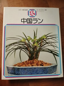 中国ラン カラー園芸選書 ガーデンライフ　蘭　園芸　趣味