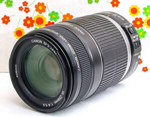 美品 キャノン Canon EF-S 55-250mm IS☆お手軽望遠レンズ♪