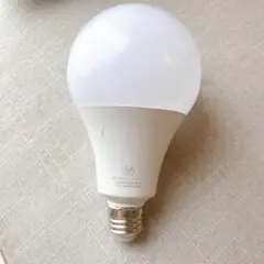 LED電球