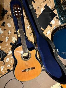 【FISHMAN製プリアンプ】★Fender★CN-240 SCE★エレガット★ クラシックギター ハードケース付