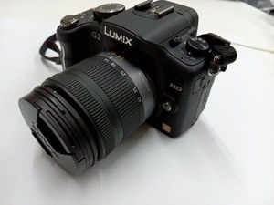 現状品 動作確認済 箱・説明書なし 箱なし Panasonic DMC-G2K-K LUMIX DMC-G2 レンズキット (コンフォートブラック) デジタル一眼