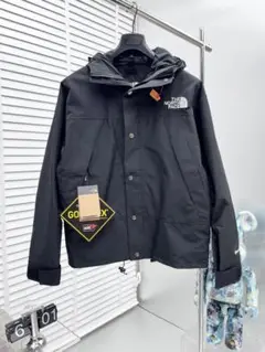 THE NORTH FACE マウンテンパーカー GORE-TEX