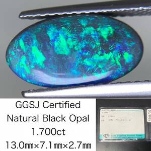 ブラックオパール 1.700ct 宝石ソーティング付き 13.0×7.1×2.7 ルース（ 裸石 ） 3050Y