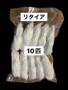 国産冷凍リタイアマウス10匹　送料込　沖縄及離島発送別料金　即日発送　同梱可能