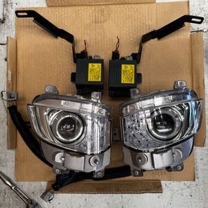 レクサス　LS LS460 中期　オプションフォグランプ　中古