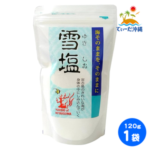 【送料込 クリックポスト】宮古島 雪塩 120g 1袋