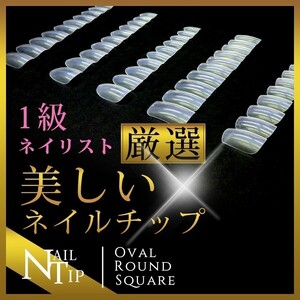 ネイル【1級ネイリスト厳選】★ラウンドベリーショー【No、8】　☆彡★　極上ネイルチップ　クリア　ネイル 50枚入り