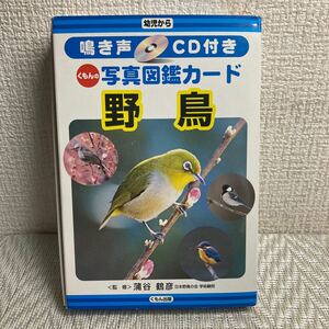 くもんの写真図鑑カード/野鳥/鳴き声CD付き/