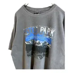 ギルダンGILDAN Tシャツ ESTES PARK グレー　XL