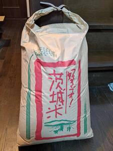 令和 ６年産　新米 茨城産コシヒカリ 玄米 １５Kg 未使用