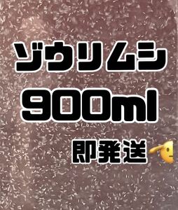 【ゾウリムシ高密度900ml】送料無料