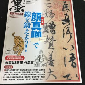 f-606 墨 34月号 発行人相澤正夫 通巻209号 株式会社芸術新聞社 2011年発行※13