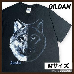 GILDAN Alaska アニマルプリント 半袖Tシャツ メンズ M 黒 半袖 オオカミ 狼 ギルダン マウンテン ブラック 動物 陰陽 イラスト 送料無料