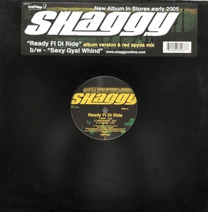 SHAGGY / Ready Fi Di Ride