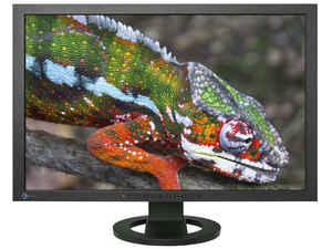 486// EIZO ColorEdge CG243W 24.1インチ ワイド 液晶ディスプレイ WUXGA/ノングレア/ モニター 