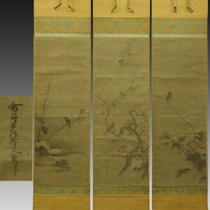 【真作】喜聞◆『斎藤等室(雲谷等室) 花鳥画 3種』　三幅対 古筆 古文書 古書 日本画 雲谷派 江戸絵画 岩国藩 中国絵画 茶道 山口 江戸前期