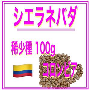 自家焙煎珈琲　シエラネバダ　100ｇ　送料無料