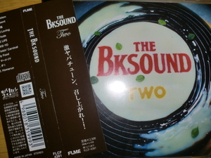 美品 The BK SOUND [TWO][Reggae] 湘南乃風 U-DOU PLATY BES メシア the フライ EMI MARIA T.O.K. 氣志團 spicy chocolate red spider burn