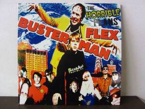 2LP THE HORRIBLE PLANS OF FLEX BUSTERMAN 5枚以上で送料無料